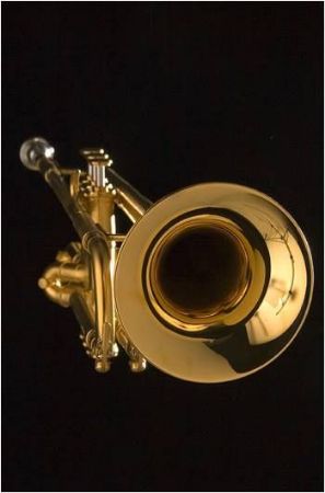 Slika Hub Van Laar - Bb trobenta model B5 - pozlačena