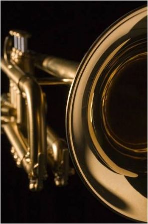 Slika Hub Van Laar - Bb trobenta model B7 - pozlačena