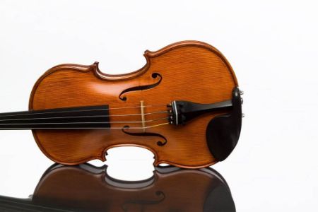 VIOLINA PAGANINI III 4/4 IL CANNONE/AMBER