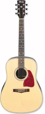 IBANEZ WESTERN KITARA AW10NT