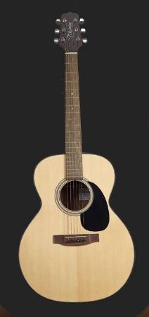 TAKAMINE KITARA AKUSTIKA G220 