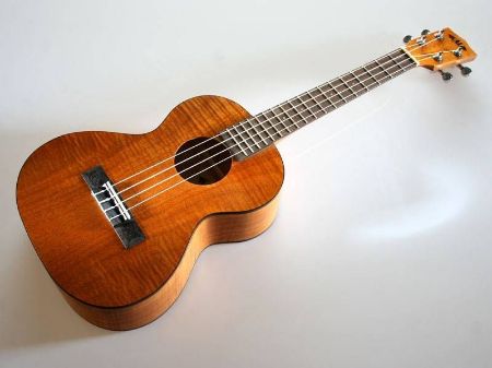 Slika KALA TENOR UKULELE EXOTIC MAHAGONI KA-TEM incl.gigbag