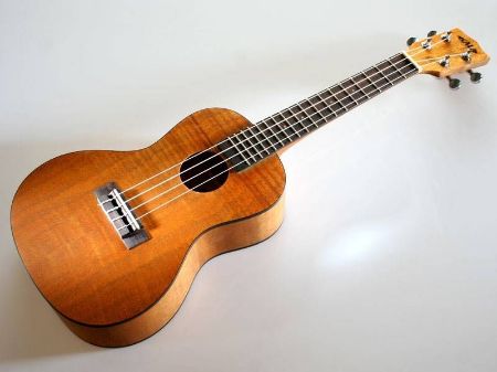 Slika KALA EYOTIC MAHOGANY PLY COCNERT UKULLELE KA-CEM 