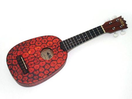 KALA SOPRAN UKULELE ANANAS KA-PSS incl.gigbag