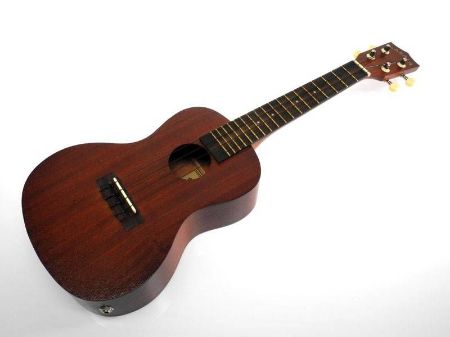 MAKALA CONCERT ELECTRIC UKULELE MK-CE inc.gigbag