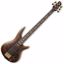 Slika IBANEZ BAS KITARA SR5005E-OL WITH CASE