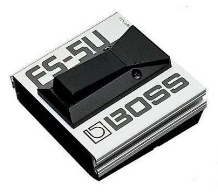 Slika BOSS PEDAL FS-5U