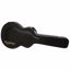 Slika EPIPHONE KOVČEK ZA 339  940-E339