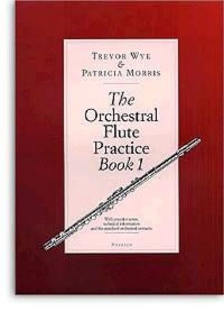 WYE:THE ORCHESTRAL PRACTICE 1