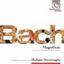 Slika BACH J.S.:MAGNIFICAT/HERREWEGHE