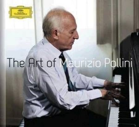 Slika POLLINI:THE ART OF MAURIZIO POLLINI