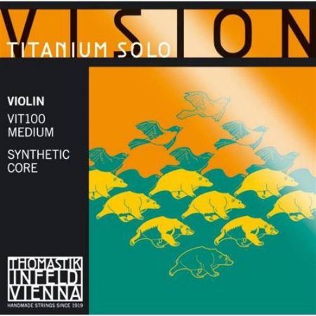 Slika VISION SET VIT100 ZA VIOLINO 4/4 TITANIUM SOLO