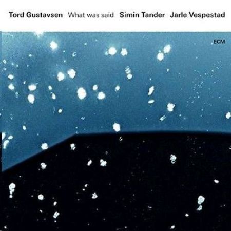 TORD GUSTAVSEN/WHAT WAS SAID