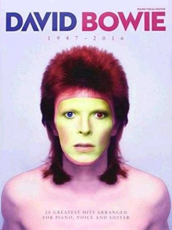 Slika DAVID BOWIE 1947-2016 PVG 