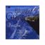 Slika EDVARD GRIEG - PEER GYNT