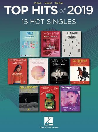 TOP HITS OF 2019 15 HOT SINGLES PVG