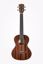 KALA TENOR UKULLELE MAHOGANY HIGHPOLI with bag