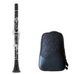 SELMER SELES PROLOGUE Bb KLARINET 17/6