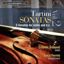 TARTINI:SONATAS/5 SONATAS FOR VIOLIN VOL.2/ŠIŠKOVIČ ČRTOMIR/LUCA FERRINI