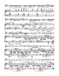 FRANCK:SONATE ARR.POUR FLUTE ET PIANO