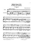 SEITZ: VIOLIN CONCERTO NO.2 IN G OP.13 VIOLIN AND PIANO