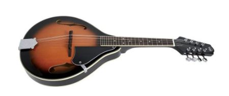 TENNESSE  MANDOLINA A1 F-holes with case