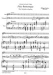 GAUBERT:PIECE ROMANTIQUE POUR FLUTE,VIOLONCELLE ET PIANO