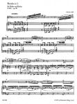 SCHUBERT:RONDO IN h D895-OP.70 VIOLIN AND PIANO