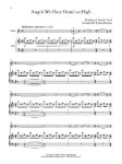 FAVORITE CHRISTMAS CAROLS FOR CLASSICAL PLAYERS VIOLIN AND PIANO+AUDIO ACC.
