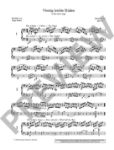 LEE S:40 LEICHTE ETUDEN/40 EASY STUDIES OP.70 FOR CELLO