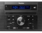 AUDIZIO PRATO RADIO DAB+ / FM Radio / CD / BT Wood