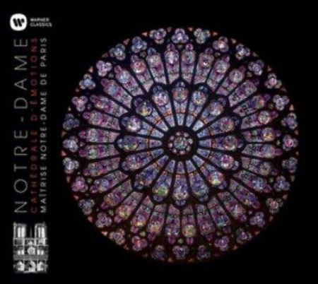NOTRE-DAME CATHEDRALE D'EMOTIONS