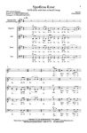 GJEILO:SPOTLESS ROSE SATB