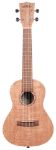 MAKALA CONCERT UKULELE KA-20C - Burled Meranti