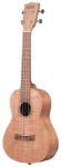 MAKALA CONCERT UKULELE KA-20C - Burled Meranti