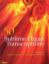 50 SUBLIME ORGAN TRANSCRIPTIONS