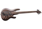 ESP LTD BAS KITARA B-1004 MULTI-SCALE NS NATURAL SATIN