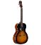 ALVAREZ AKUSTIČNA KITARA DElta00/TSB Blues Series