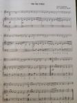 IRISH MUSICBOX AKKORDEON
