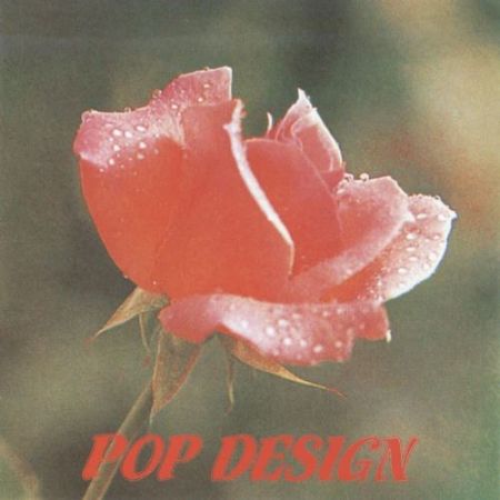 POP DESIGEN  THE BEST OF