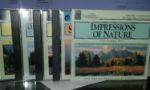 IMPRESSIONS OF NATURE THE ART OF RELAXATION 4CD