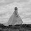SCATTERED ON THE WIND/SOPHIE HUTCHINGS
