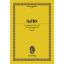 HAYDN:SYMPHONY NO.100 G-DUR "MILITARY" STUDY SCORE