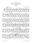SCHUMANN:COMPLETE PIANO WORKS VOL.4