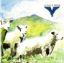 LAIBACH/VOLK