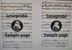 NERUDA:CONCERTO ES-DUR FOR TRUMPET AND PIANO