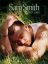 SAM SMITH LOVE GOES PVG
