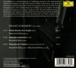 SCHUBERT/MAURIZIO POLLINI/DANIELE POLLINI