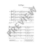 SCHAFER:MOVIE SONGS SATB