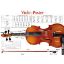 VIOLIN POSTER